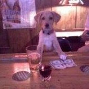 Meet your Posher, Dustin